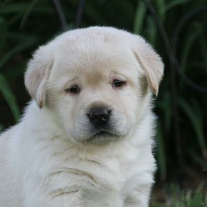 Meet your Posher, Terri